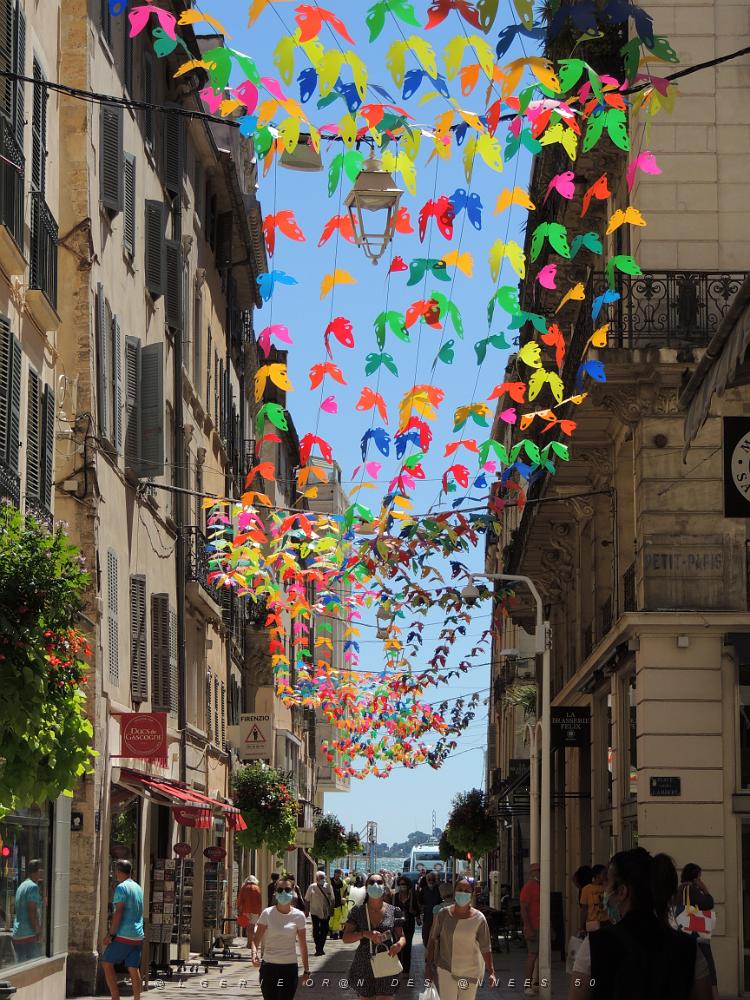 29 Toulon Rue D'Alger.JPG -           